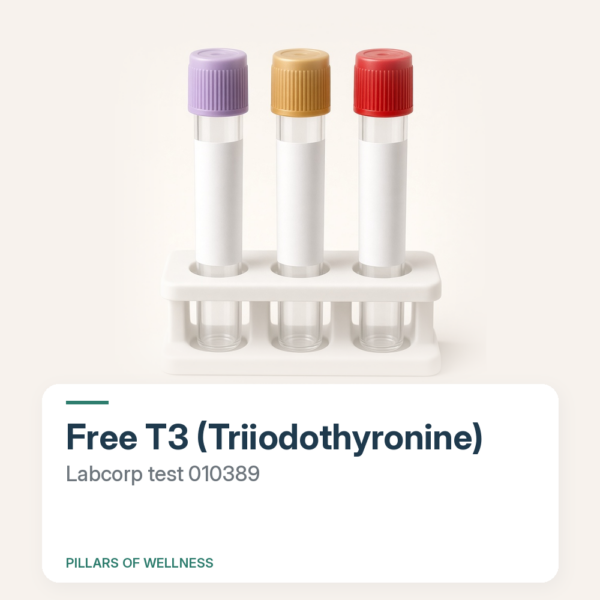 Free T3 (Triiodothyronine)
